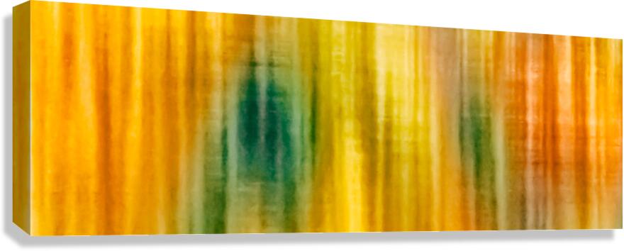 Fall Canvas Print