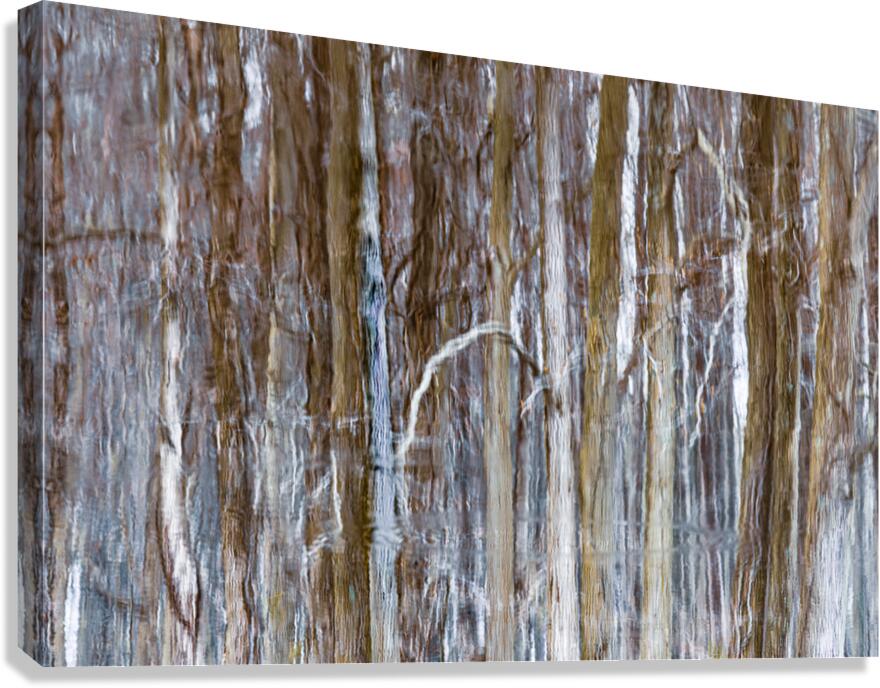 The Grove Canvas Print
