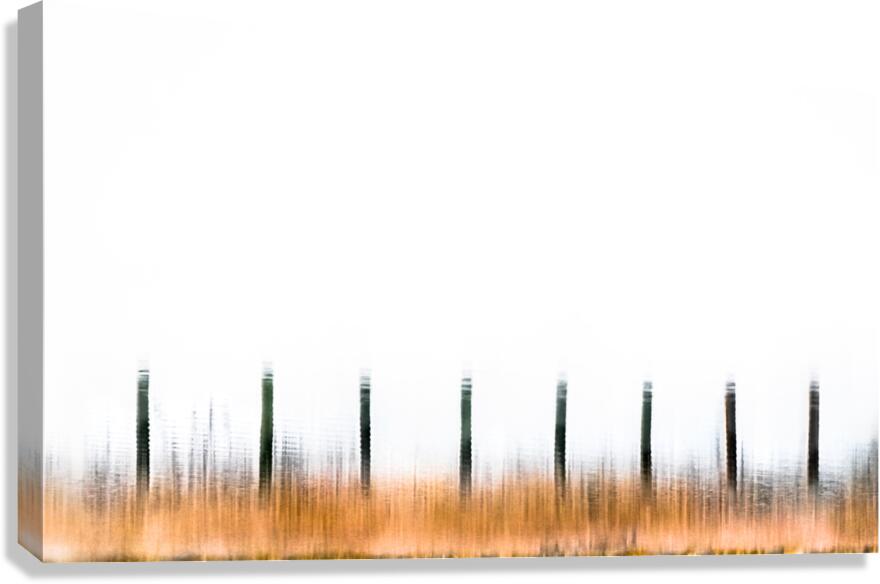 Fence Line Canvas Print