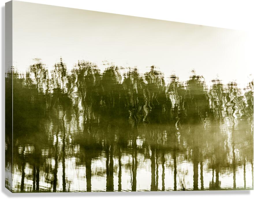 Steadfast Canvas Print