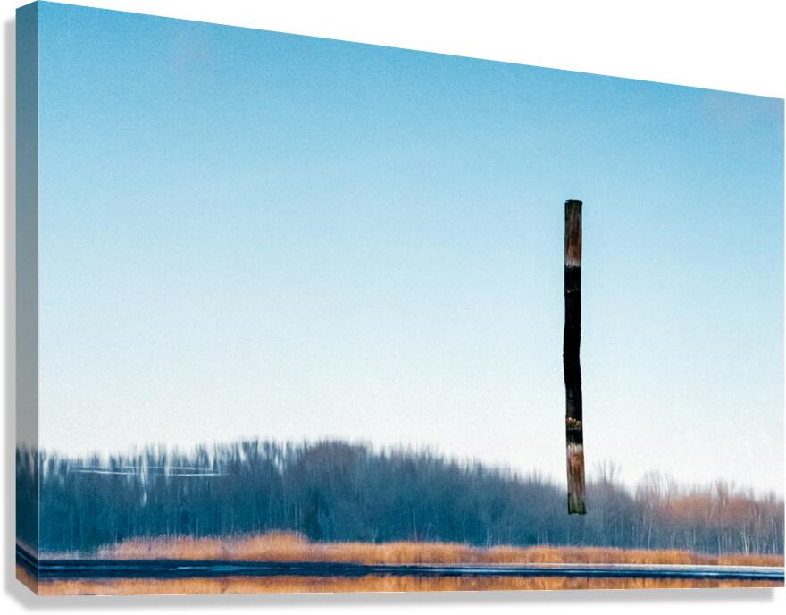 Gravity Defied Canvas Print