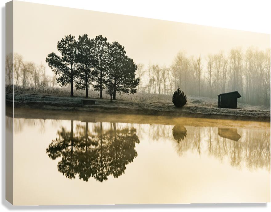 Winter Mists Canvas Print