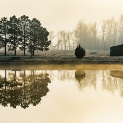 Winter Mists
