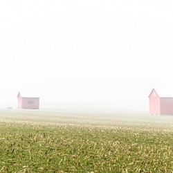 Down on the Farm