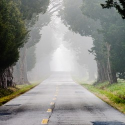 Country Lane