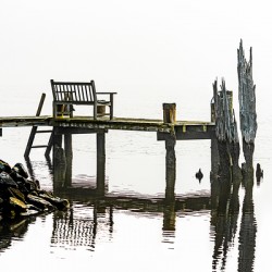 From the Dock on the River