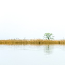 Hints of Spring