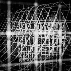 Crab Pot in Black and White