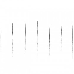 Life Lines II