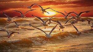 a breathtaking photograph capturing a mesmerizing