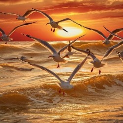 a breathtaking photograph capturing a mesmerizing