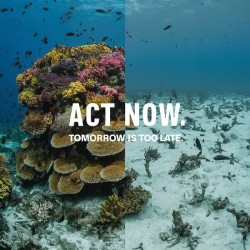 a striking split image featuring a thriving multi 1716193162.2186