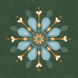 give your floral image a unique and clear diagram