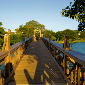 A Golden Afternoon in Spring Lake NJ 