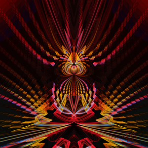 Cat in the Midst of Chaos