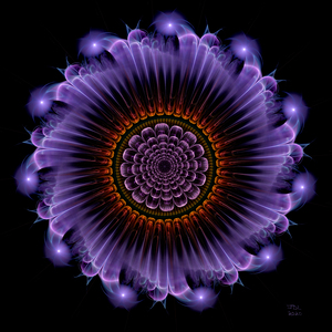 Delight in the Inner Mandala 