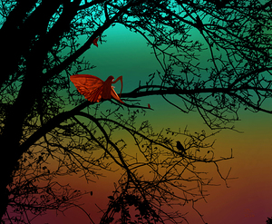 Serenading the Magic Hour