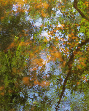 The Mill Pond in Autumn 