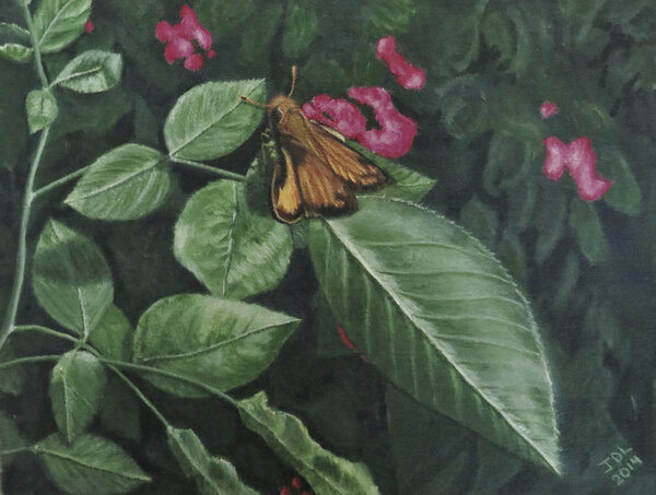 zabulon skipper  Print
