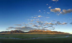 MCATEE Bridge 60x36 custom crop