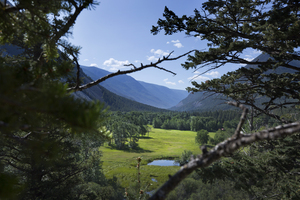  O7A7130 matthews sample