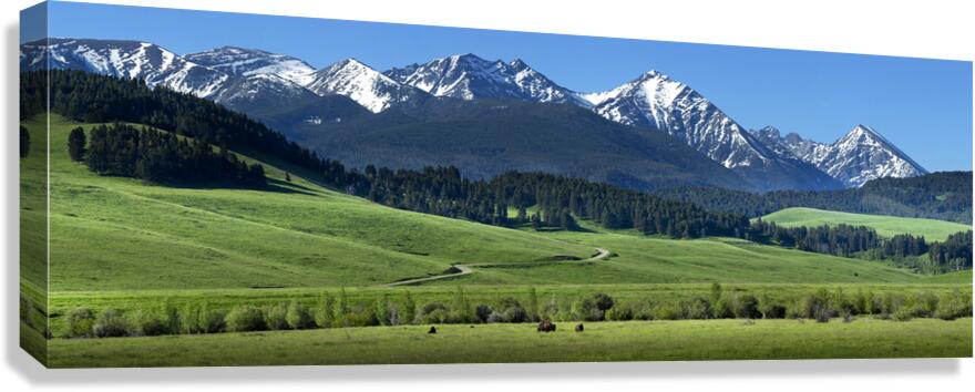 flying d spring grazing 90x30 print Canvas Print