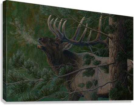 September is Calling Canvas Print