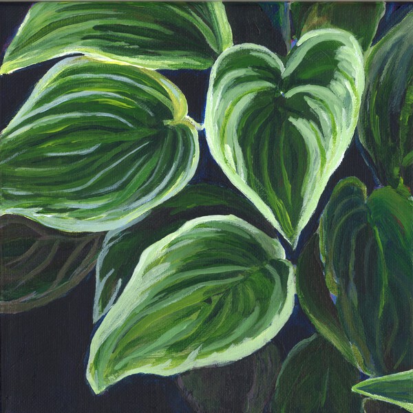 Hostas Print