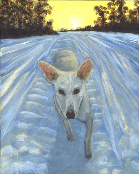 Yuki Print