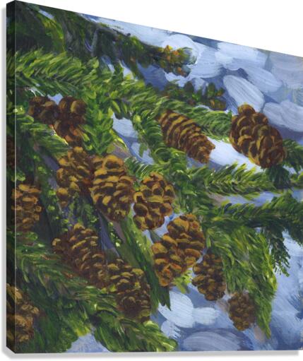 Sunlit pinecones Canvas Print