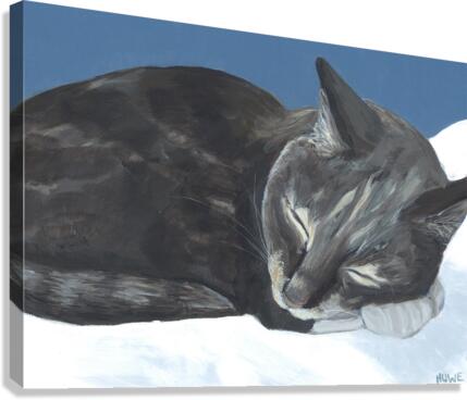 Sleeping cat Canvas Print