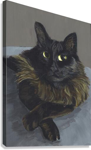 Thomas Canvas Print