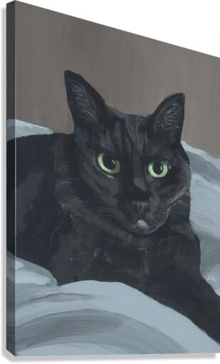 Jerry Canvas Print