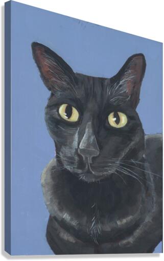 Lula Canvas Print