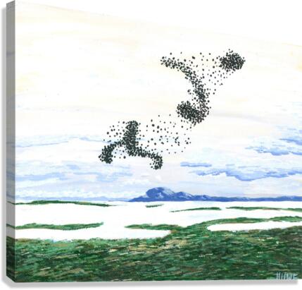 Starlings Canvas Print