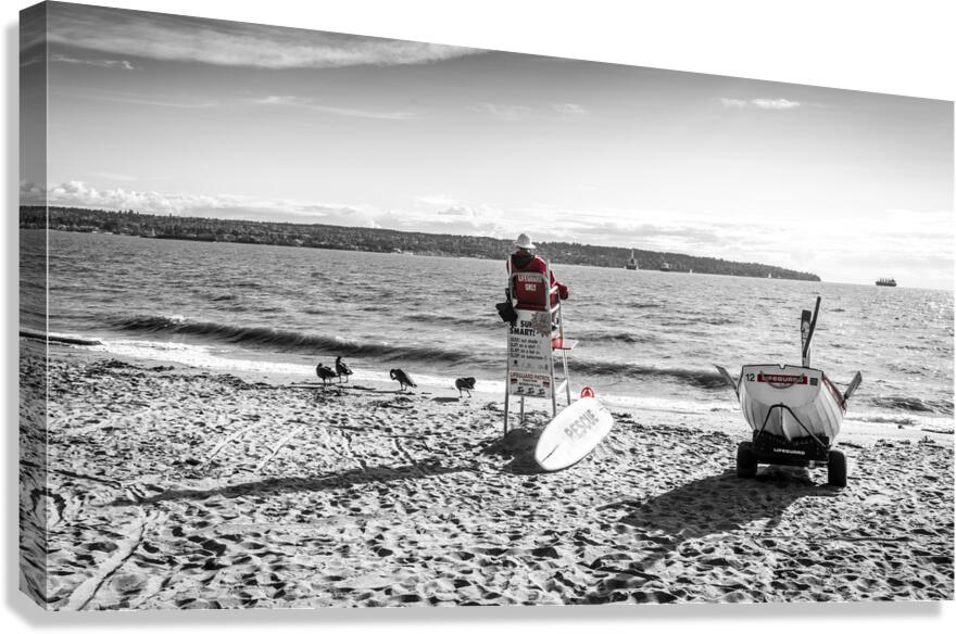 Lifeguard V.2 Canvas Print