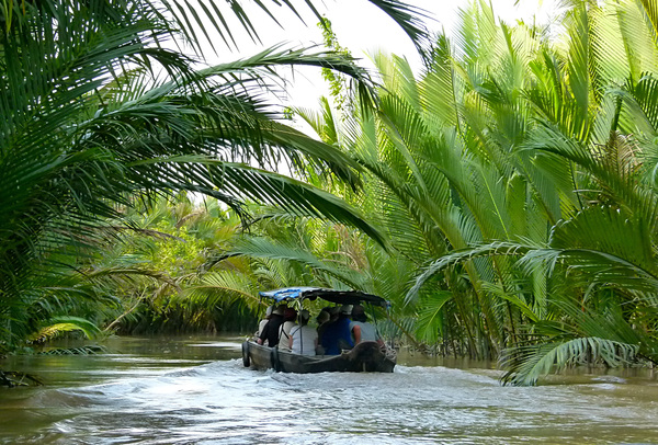 Mekong Print