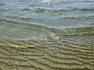Shimmering Sea 