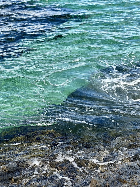 IMG 6115 by Jayne Kubicek
