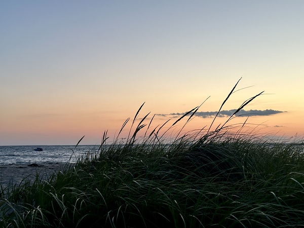 Dreaming of the Cape  by Jayne Kubicek