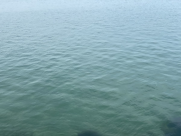 Sea of Blue by Jayne Kubicek