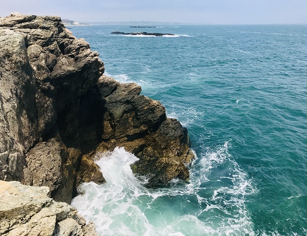 Cliff Walk by Jayne Kubicek