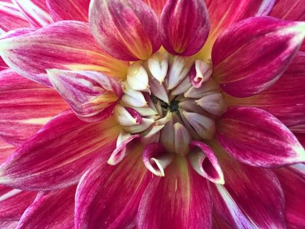 IMG 7258 by Jayne Kubicek
