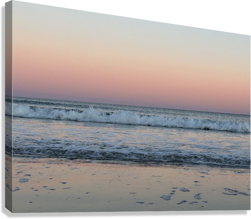 Ocean Joy Canvas Print