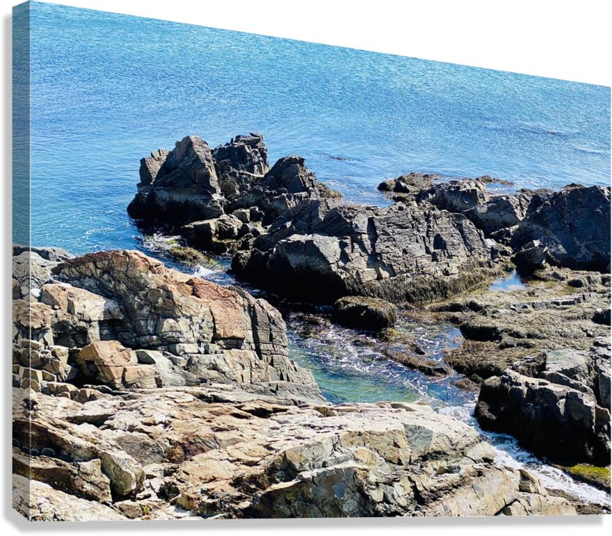 Teal Tides Canvas Print