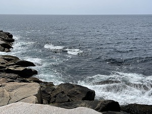 Ocean Deep Collection