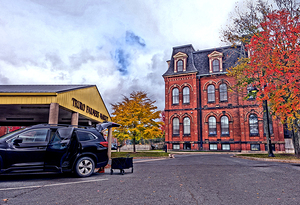 Vibrant Leaves At Market End