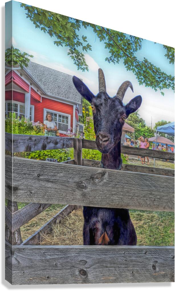 Alert Market Goat Wood Pen Canvas Print