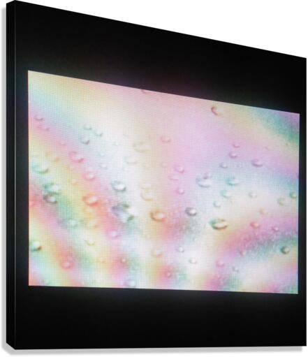 Whatevera Canvas Print