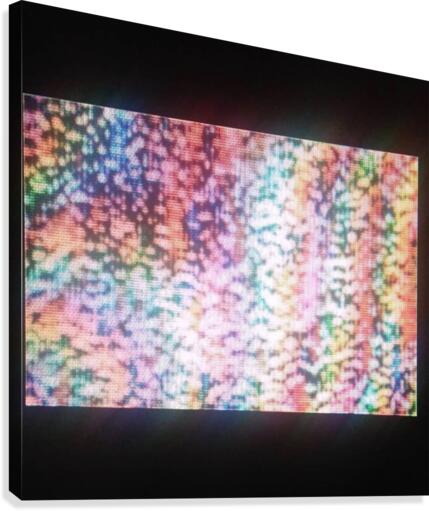 Shmephemera2 Canvas Print